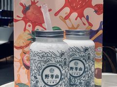 -野萃山·潮汕厚果汁(十亩地店)