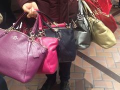 -COACH蔻驰(恒隆广场店)