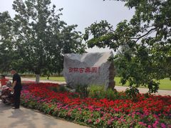 -御林古桑园