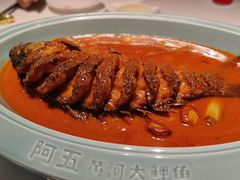 -阿五黄河大鲤鱼(纬三路店)
