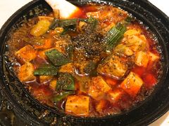 -陈麻婆豆腐总店