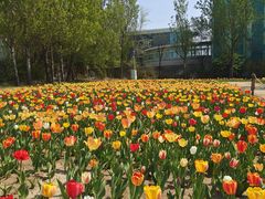 景点-沈阳植物园