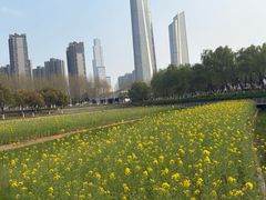 -南京眼步行桥