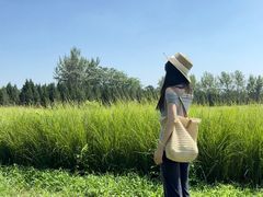 -汉长安城未央宫国家考古遗址公园