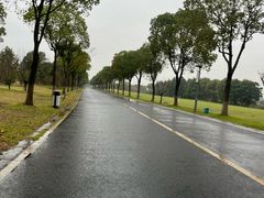 -漕湖湿地公园