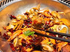 母蟹-七欣天香辣蟹火锅(抚州硕果时代广场店)
