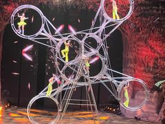 -广州长隆国际大马戏