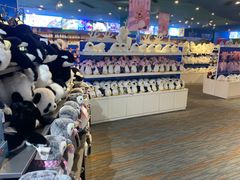 -成都浩海立方海洋公园