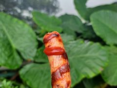 -广州市白云山风景名胜区