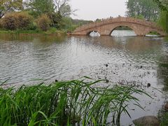 -渤公岛生态公园
