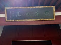 -神州牡丹园