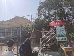 -泉州海丝野生动物世界