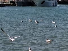 -海驴岛(荣成市)