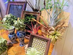 -Rabbit Cafe私房西餐甜点咖啡(栖霞路店)