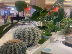 -椰客·海南椰子鸡(新塘永旺梦乐城店)