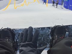-世界之窗阿尔卑斯冰雪世界
