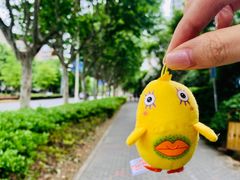 -证大大拇指广场(芳甸路店)