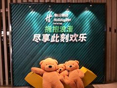 -苏州汇融广场假日酒店