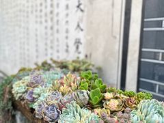 -寂照庵