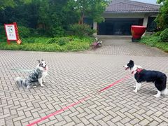 -上海海湾国家森林公园