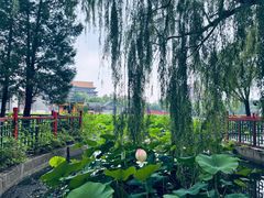 -大明幻境第一城