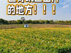 -上海杨姆庄园