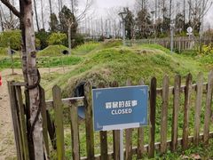 -前小桔亲子创意农场·草莓采摘·露营烧烤