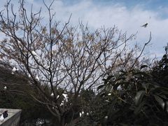 -雨花台烈士纪念馆