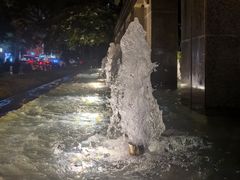 -厦门威斯汀酒店