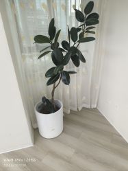 -HEYAN荷妍专业脱毛连锁机构