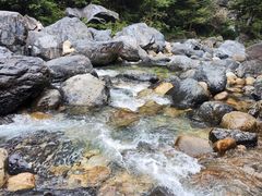 -石台牯牛降景区