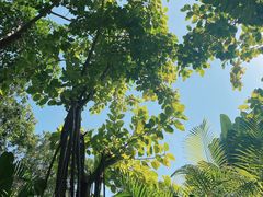 -碧桂园润杨溪谷温泉酒店