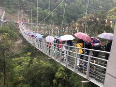 -九龙江国家森林公园