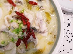 奶酸鱼-大树餐厅(朝阳大悦城店)