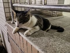 -小川洋风料理(汉街店)