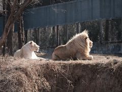 -石家庄市动物园