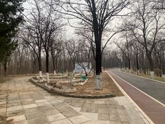 -云岗森林公园