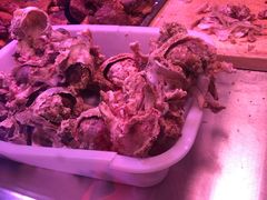 -洪记白水羊头(留学路店)