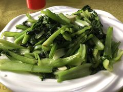 -煲来饱去冷水鱼