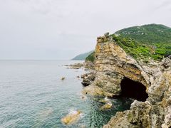 -杨梅坑