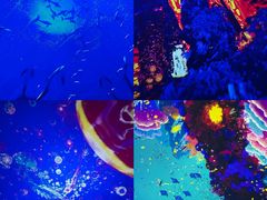 -南戴河国际娱乐中心