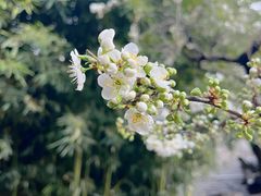 -田德能咖啡博物馆