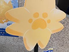 -泽田本家·铜锣烧(TX淮海店)