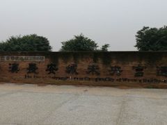 -汉长安城未央宫国家考古遗址公园