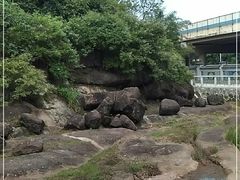 -广州七星岗古海岸遗址科学公园