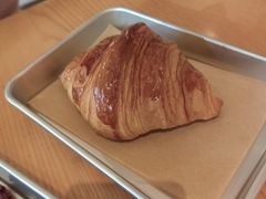 -WHEN PIGS FLY当猪飞