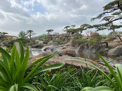 -罗红摄影艺术馆