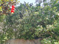 -溪口-滕头旅游景区