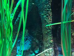 -沈阳海洋探索中心