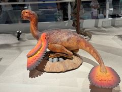 -国家自然博物馆